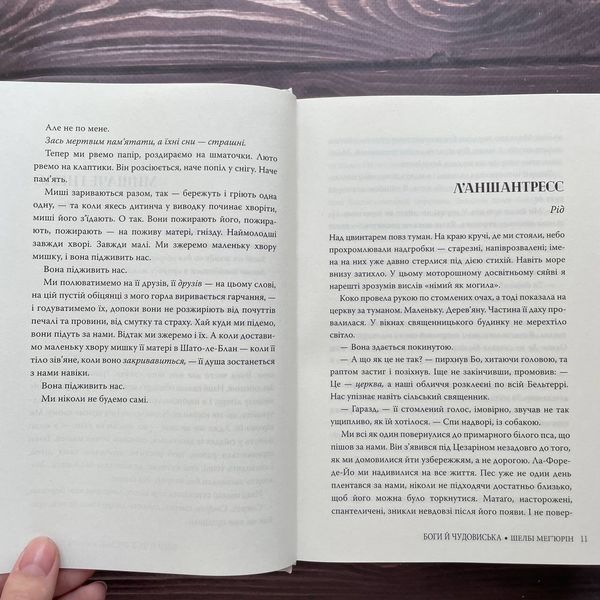 Боги й чудовиська.Книга 3. Мег'юрін Ш. 169875 фото