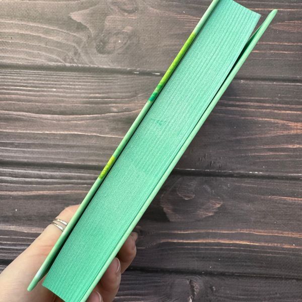 Відображена в тобі. Книга 2. Дей С. 171086 фото