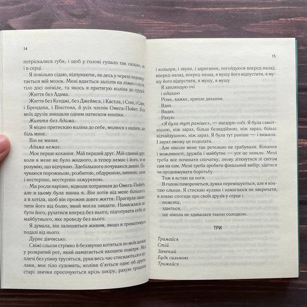 Розпали мене. Книга 3. Мафі Т. 169882 фото