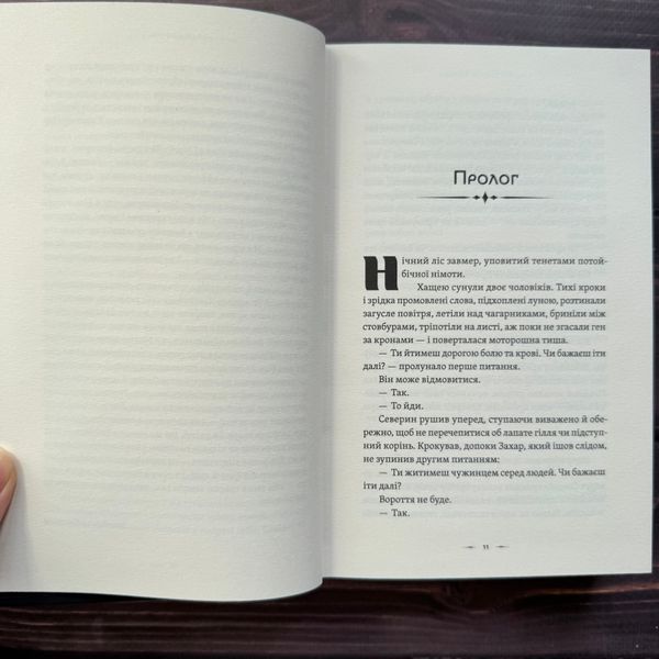Аркан вовків. Літопис Сірого Ордену. Книга 1. Дерев'янко П. 170670 фото