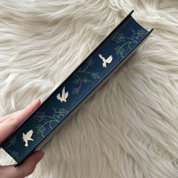Пісня вічних дощів. Мусаї. Книга 1. Меллов Е.Дж. 169892 фото