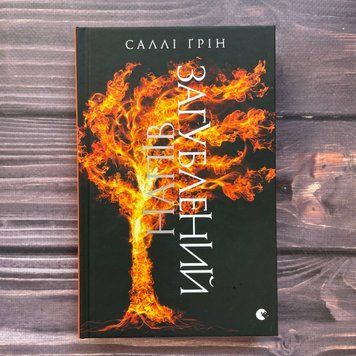 Напівзагублений. Книга 3. Ґрін С. 169895 фото