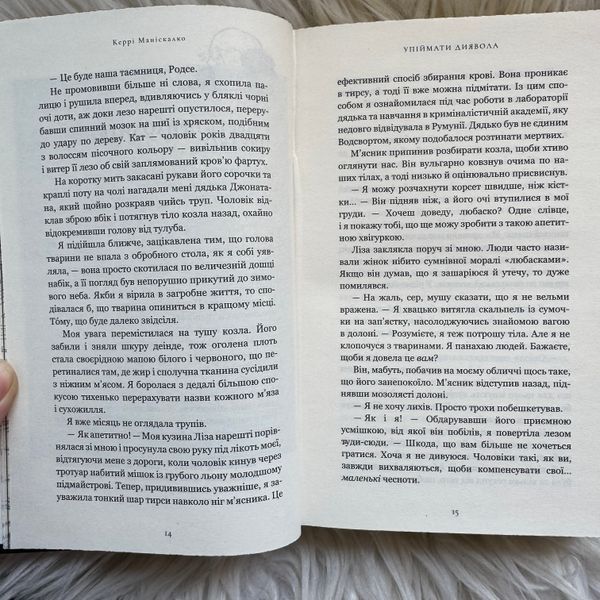 Упіймати диявола. Книга 4. Маніскалко К. 171363 фото