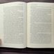 Тінь лисиці. Книга 1. Кагава Дж. 171064 фото 8