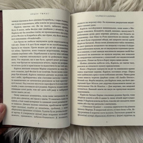 Хлопці кладовища. Limited edition. Ейден Т. 170476 фото