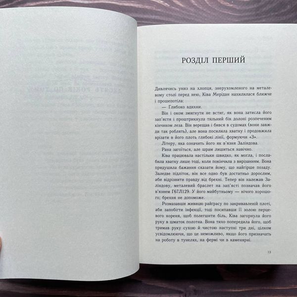 Тюремна цілителька. Книга 1. Лінетт Н. 169916 фото